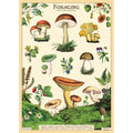Cavallini & Co. 20" x 28" Foraging Wrap thumbnail