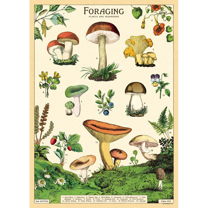 Cavallini & Co. 20" x 28" Foraging Wrap