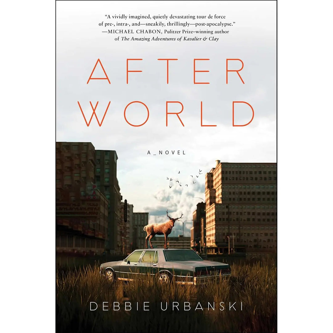 After World: A Novel