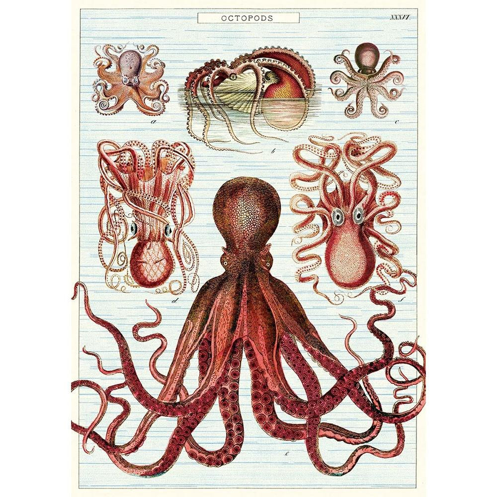 Cavallini 20" x 28" Octopods Wrap