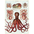 Cavallini 20" x 28" Octopods Wrap thumbnail