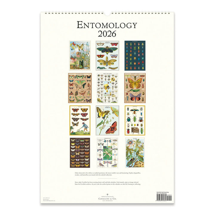 Cavallini Entomology 2026 Wall Calendar