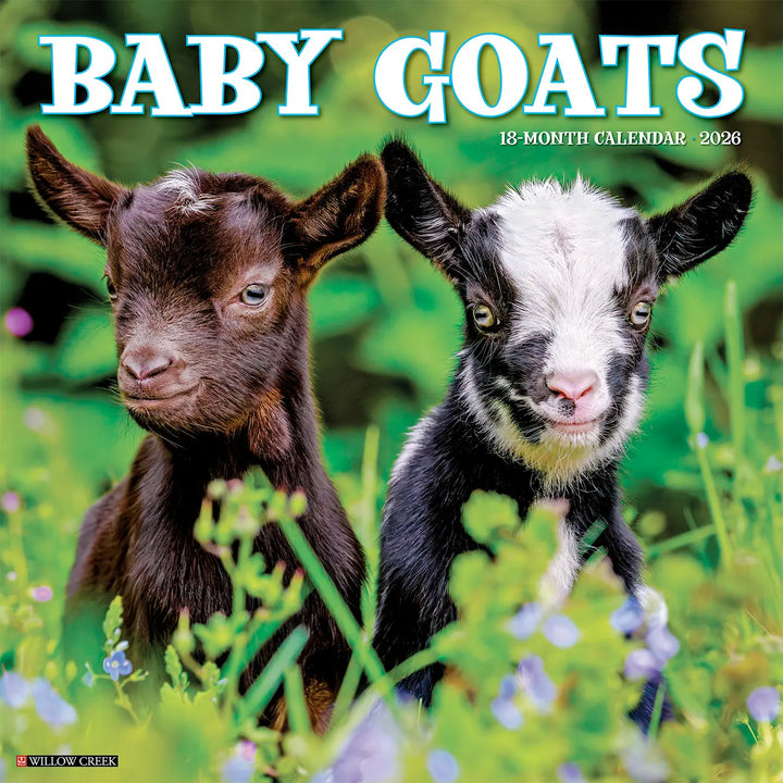 Small Changes Baby Goats 2026 Wall Calendar