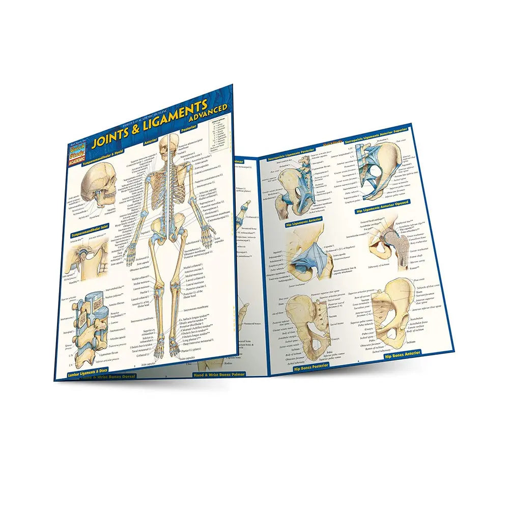 Advanced Joints & Ligaments Bar Chart