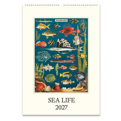 Photo of Cavallini Sea Life 2027 Wall Calendar.