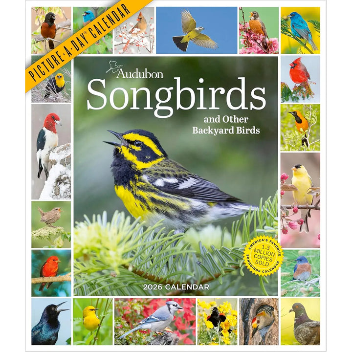 Audubon Songbirds And Other Backyard Birds Picture-A-Day Wall Calendar 2026