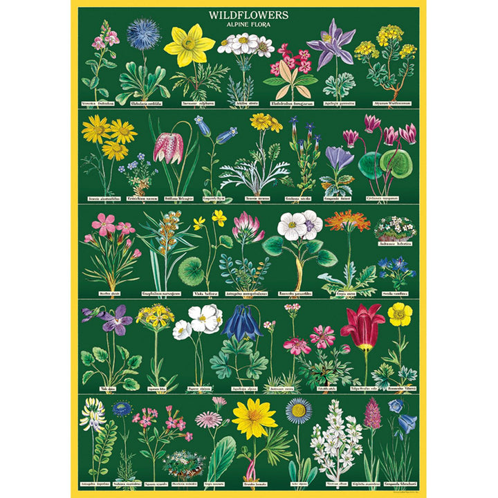 Cavallini 20" x 28" Wildflowers 2 Decorative Paper