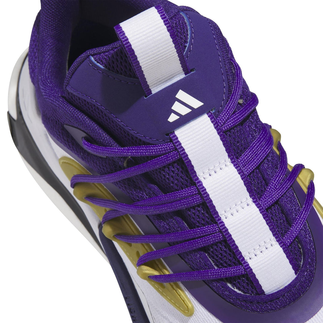 adidas Men's AlphaBoost V2 Shoe
