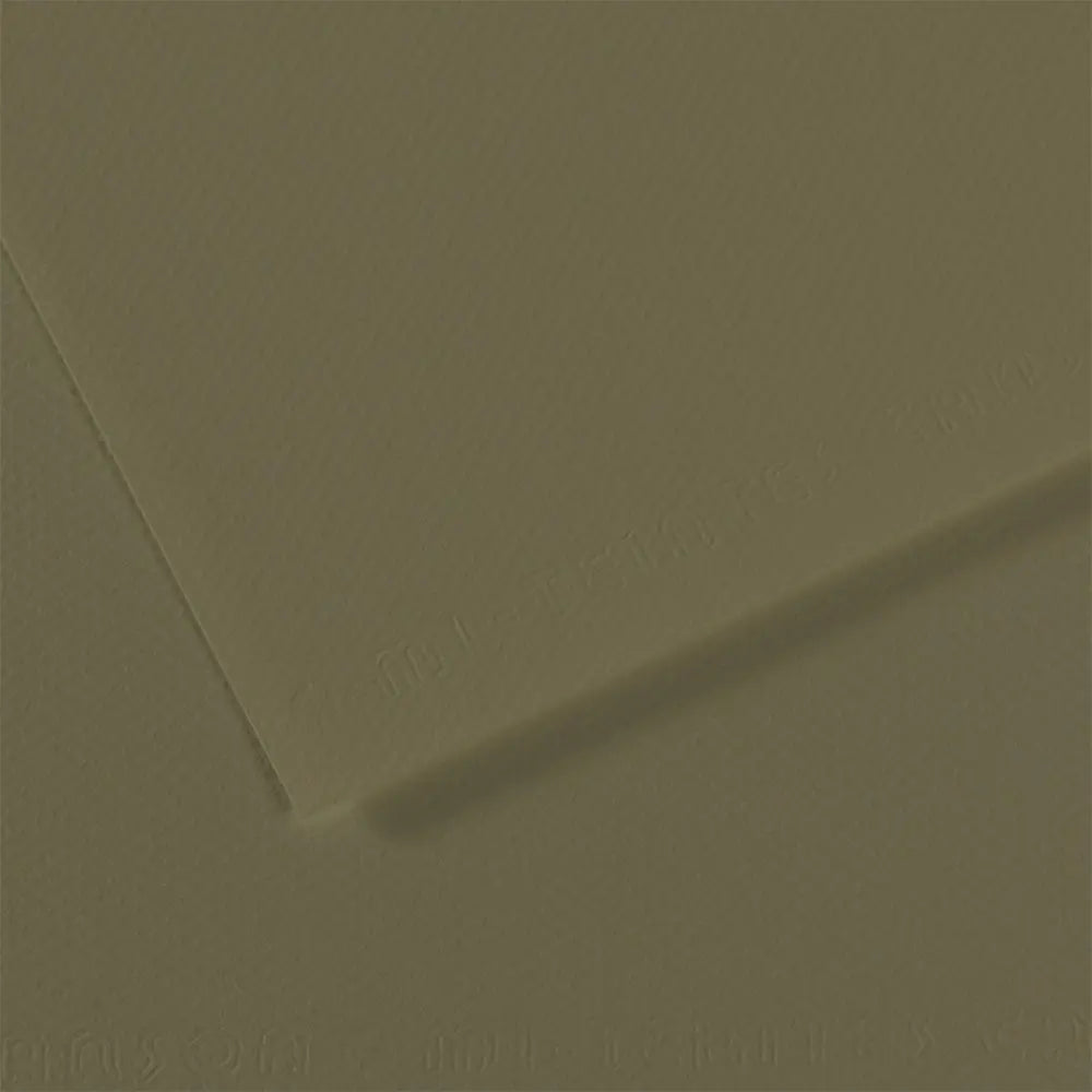 Canson 19x25 Mi-Teintes Paper