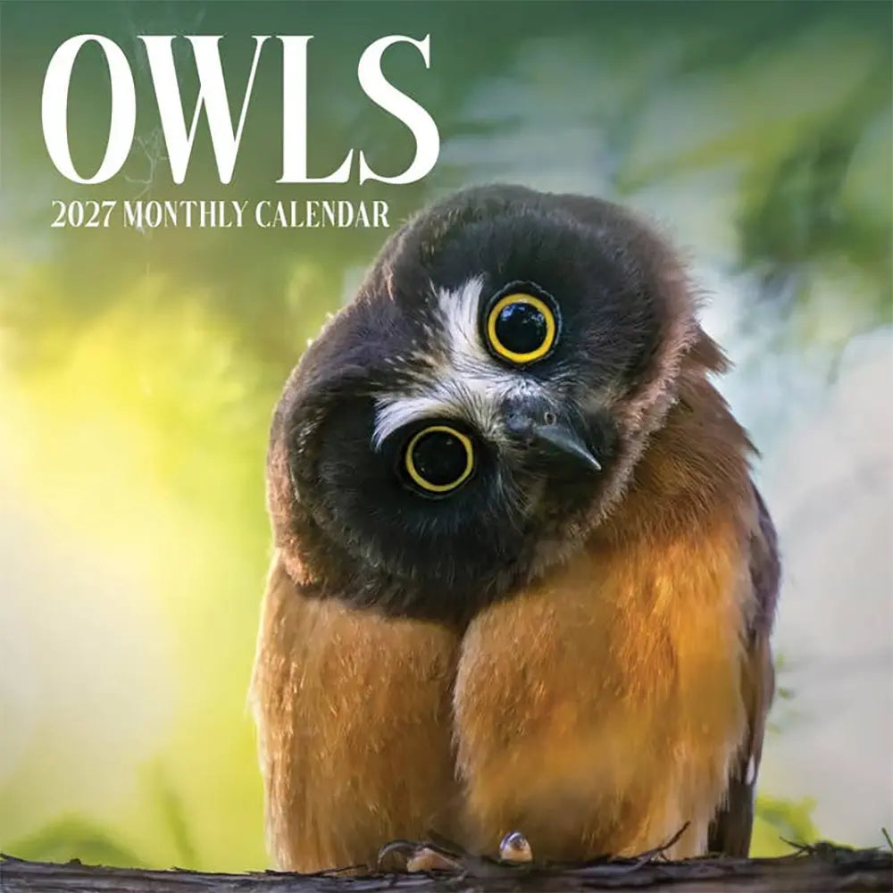 2027 Owls Wall Calendar