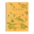 Decomposition Sea Turtles 7.5"x9.75" College Spiral 80ct thumbnail