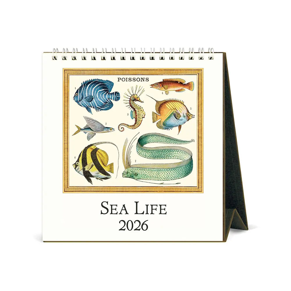 Cavallini Sea Life 2026 Desk Calendar